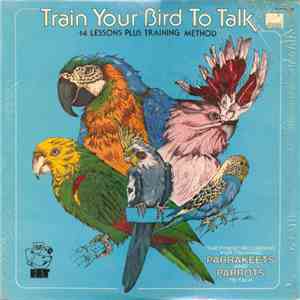 No Artist - Train Your Bird To Talk download flac