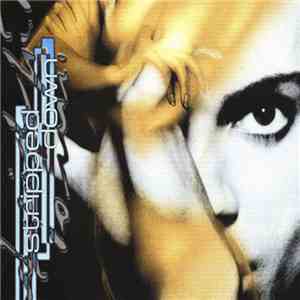 Prince - Stripped Down download flac