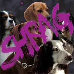 Shrag - Different Glue download flac
