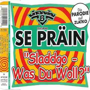 Vitamin B  Featuring Se Präin - "Sladdgo - Was Du Woll?" download flac