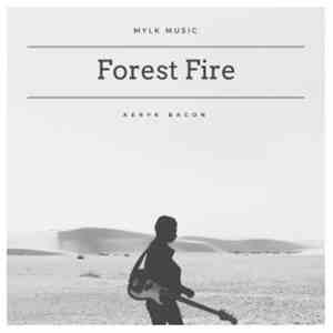 Aeryk Bacon - Forest Fire - Single download flac