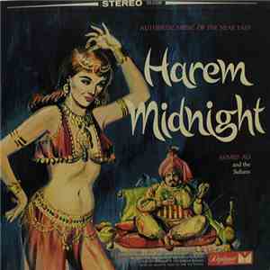 Ahmed Ali And The Sultans - Harem Midnight download flac