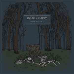 Dead Leaves - Vultures download flac