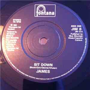 James - Sit Down download flac
