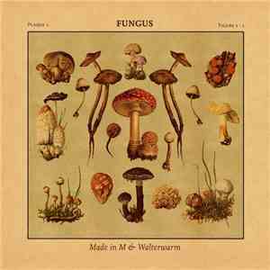 Made In M & Walterwarm - Fungus download flac