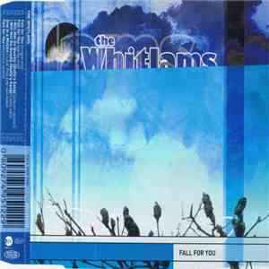 The Whitlams - Fall For You download flac