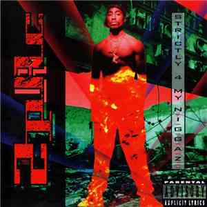 2Pac - Strictly 4 My N.I.G.G.A.Z... download flac