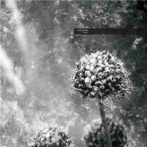 Aes Dana - Pollen download flac