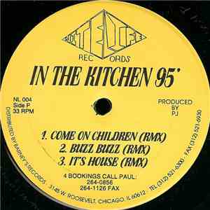 Paul Johnson - In The Kitchen 95' download flac