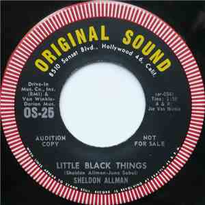 Sheldon Allman - Little Black Things download flac