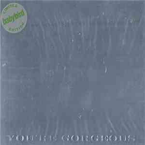 Babybird - You're Gorgeous download flac