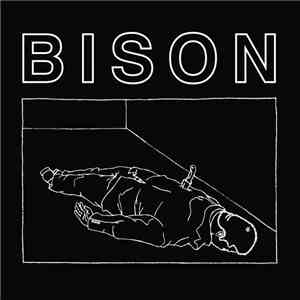 Bison - One Thousand Needles download flac