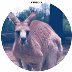Dr. Cryptic - Skippy EP download flac