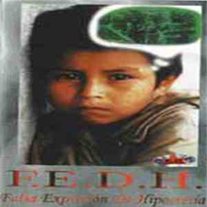 Falsa Expresión de Hipocresía - Falsa Expresión de Hipocresía download flac