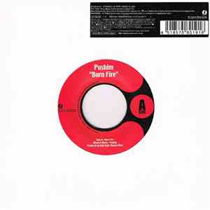 Pushim - Burn Fire download flac