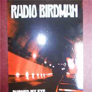 Radio Birdman - Burned My Eye download flac