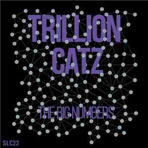 Trillion Catz - The Big Numbers download flac
