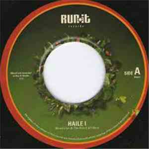 Blood Lion & The Run It All Stars - Haile I download flac