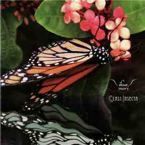 Ikue Mori - Class Insecta download flac