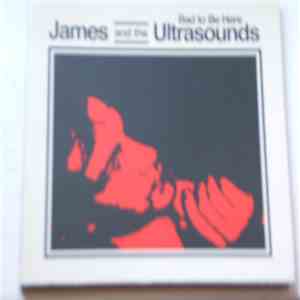 James And The Ultrasounds - Bad To Be Here download flac