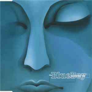 The Blue Boy - Remember Me download flac