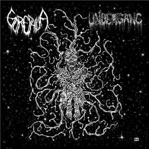 Undergang , Gorephilia - Split EP download flac