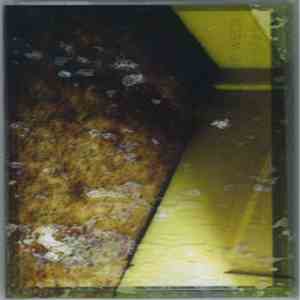 Wrath Of The Weak - Just A Momentary Diversion On The Road To The Grave download flac