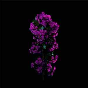 The Striggles - Cold Song download flac