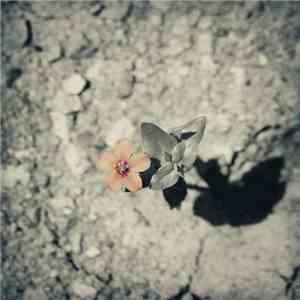 Dave Dorgan  - Such Is Our Condition download flac