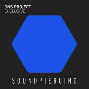 DNS Project - Exclusive FLAC album