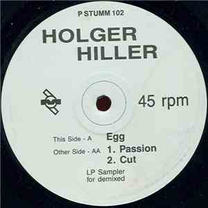 Holger Hiller - Demixed LP Sampler download flac