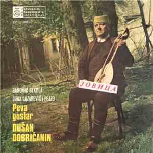 Dušan Dobričanin - Banović Sekula download flac