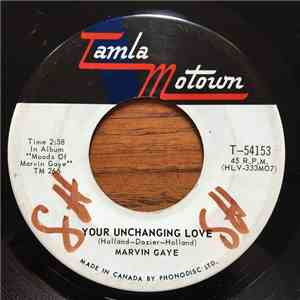 Marvin Gaye - Your Unchanging Love download flac