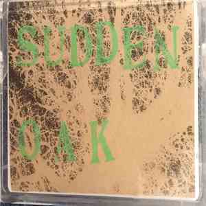 Sudden Oak - Causeways Of The Sun download flac