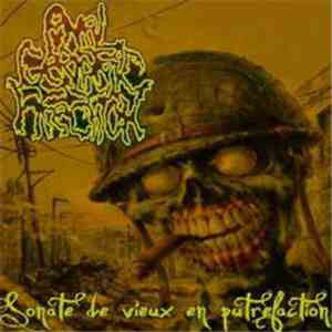 AxGxI - Sonate De Vieux En Putréfaction download flac
