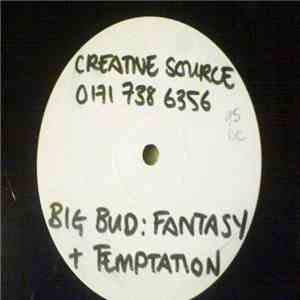 Big Bud - Temptation / Fantasy download flac