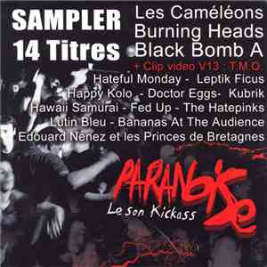 Various - Paranoise 4 download flac