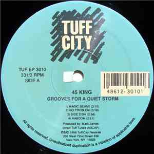 45 King - Grooves For A Quiet Storm download flac