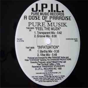 A Dose Of Paradise - Pure Musik download flac