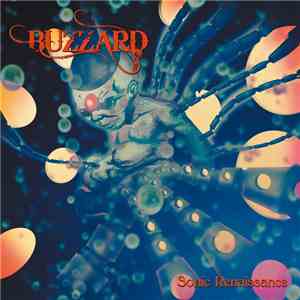 Buzzard  - Sonic Renaissance download flac
