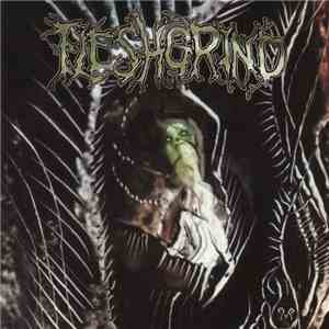 Fleshgrind - The Seeds Of Abysmal Torment download flac