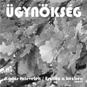 Ügynökség - Ködös Falevelek / Eszköz A Kézben (Maxi) download flac
