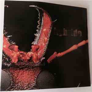 Hybride - Discographie download flac