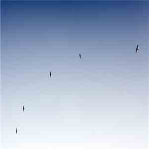 Merzlux - HNW 62 download flac