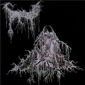 Swallowed - Swallowed download flac