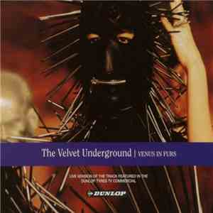 The Velvet Underground - Venus In Furs download flac