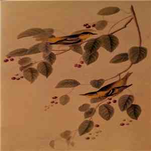 Alexander  - The Pale Light Over The Dark Hills download flac