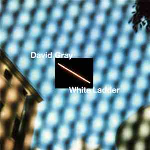 David Gray - White Ladder download flac