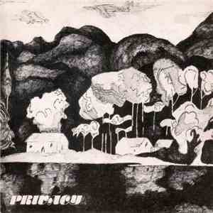 Evasio Roncarati - Privacy download flac