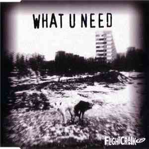Flightcrank - What U Need download flac